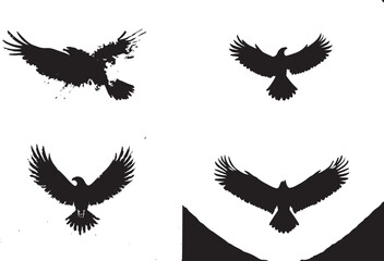 Obraz premium Flying Bird Silhouette Vector SetBlack Bird Silhouettes in Flight CollectionCrow and Raven Flying Silhouette Clipart