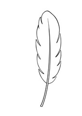 feather isolated on white background
