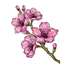 vector illustration of flower 