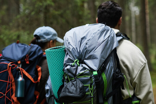 Back view of young adult Asian man and young adult Caucasian woman hiking in forest carrying large backpacks and camping gear, walking together on trail surrounded by trees