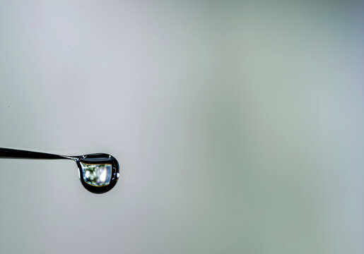 Macro water drop on needle with reflection / Tetesan air makro di jarum dengan pantulan