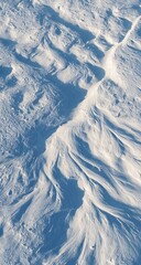 Abstract natural patterns in snow detailed view with wind-sculpted textures and cool tones