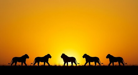 Five lions are silhouetted against a vibrant orange and yellow sunset sky, walking across a grassy plain.
