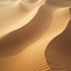 Wind formed ripples on desert sand dunes