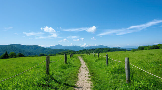 A long, narrow path winds through a lush green field