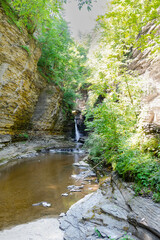 waterfall in the forest