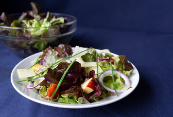 Minimalist vegetarian salad with lettuce, Parmesan cheese, apple, and red onion