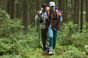 Obraz premium Caucasian young adult man and Caucasian young adult woman hiking through forest carrying backpacks and trekking poles, walking along trail surrounded by green trees and foliage