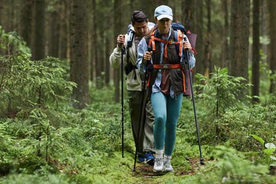 Caucasian young adult man and Caucasian young adult woman hiking through forest carrying backpacks and trekking poles, walking along trail surrounded by green trees and foliage - Powered by Adobe