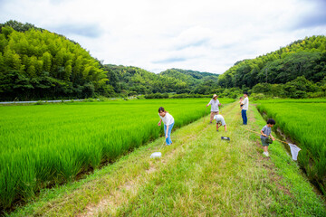 帰省　夏休み故郷で遊ぶ日本人家族