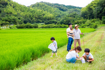 帰省　夏休み故郷で遊ぶ日本人家族