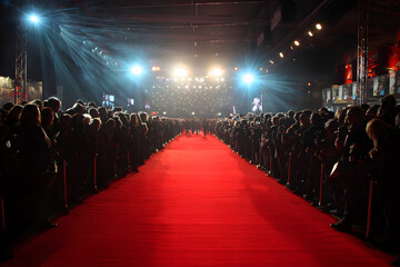 red carpet film festival gala charity premiere music award film award golden globe emmy oscar MTV movie awards mtv berlinale teddy grammy echo saturn cannes berlin venedig