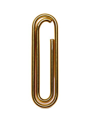 Gold Oval Link,  detailed close-up