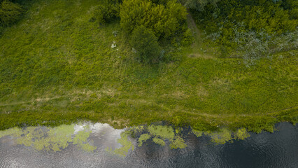 Aerial View of Riverbank and Vegetation in Nowy Lubiel, Poland