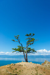 Lonely tree on cliffside overlooking lake Baikal under vibrant blue sky.