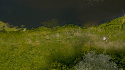 Aerial View of a Grassy Riverbank and Calm River in Nowy Lubiel