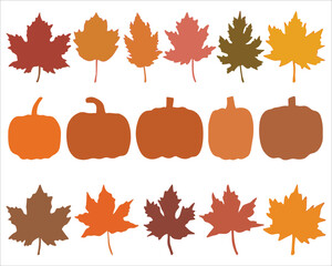 Autumn Leaves and Pumpkins Vector Set