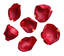 Deep red rose petals arranged in a loose cluster