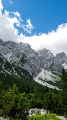 Obraz premium Mountain landscape, lush forest, dramatic clouds