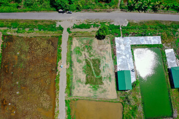 Drone aerial photo showing rice fields, fish ponds, and rural road in countryside landscape, illustrating agriculture and aquaculture in village area.