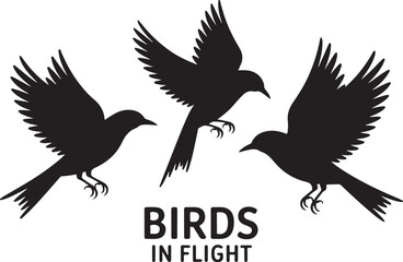 Flying Bird and Owl Silhouette Vector Set