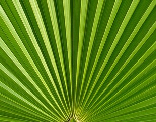 Obraz premium Close-up of a vibrant palm frond