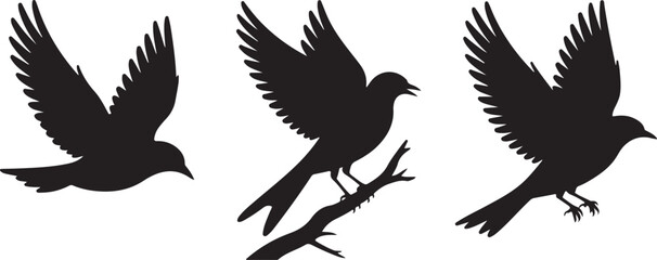 Flying Bird and Owl Silhouette Vector Set