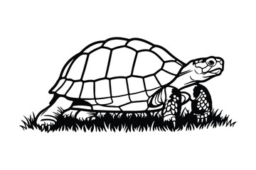 Black and white illustration of a tortoise walking on grass turtle reptile