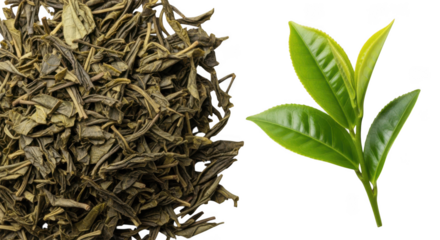 Dried green tea leaves contrasted with fresh vibrant green tea leaves image