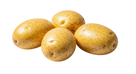 Four whole yellow potatoes with brown speckles on a background tuber root