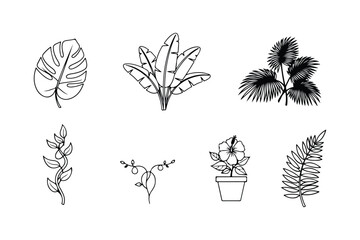 Collection of tropical plant line art illustrations on white background monstera leaf banana leaves © hafsa01
