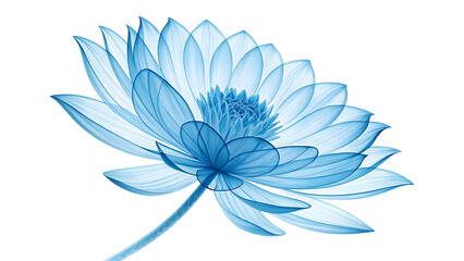 Obraz premium Stunning blue lotus blossom design high resolution picture