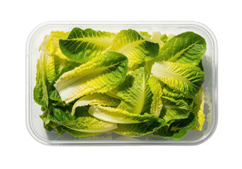 Freshly Chopped Romaine Lettuce Leaves in Clear Plastic Container green salad
