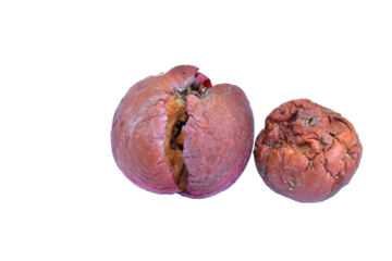 Two rotten apples lie on a PNG background.