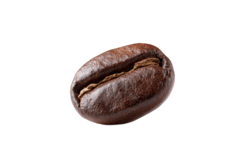 Close-up of a single coffee bean.  Dark, rich, oval-shaped bean with visible texture and a distinct seam.  Focus is on the surface details