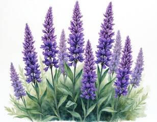 Fototapeta premium Serene garden scene with cluster of purple lavender flowers in full bloom. Vibrant purple flowers arranged in circular pattern, stems extending upwards, leaves reaching outwards. Soothing light green