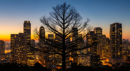 Striking silhouette of a leafless tree standing tall against a glowing cityscape at dusk