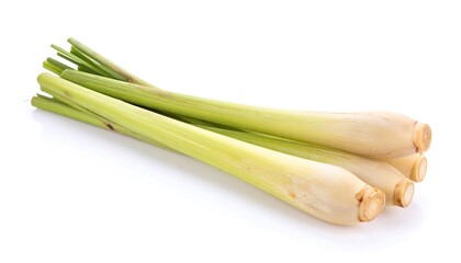 Fresh Galangal Root Isolated on White Background for Cooking and Herbal Medicine