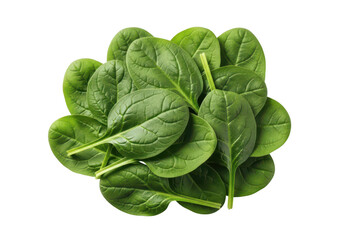 Fototapeta premium Pile of fresh vibrant green spinach leaves studio shot on background healthy