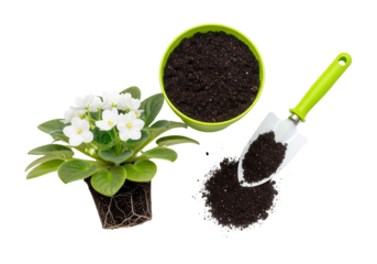 Isolated African Violet plant, dark potting soil in green pot, and small white trowel for repotting.
