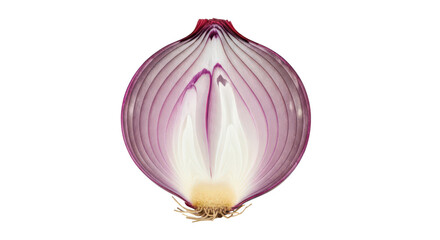 Red onion half with visible layers and roots on background image
