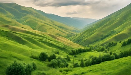Rolling Green Hills: A Serene Valley Landscape Vista