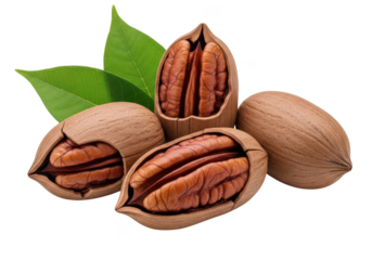 Shelled and unshelled pecans with green leaves on background nuts food