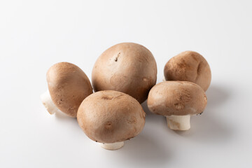 ブラウンマッシュルーム