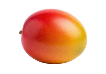 Single ripe mango with red yellow and green hues isolated on fruit tropical
