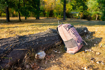 One pink backpack standing near tree log in nature