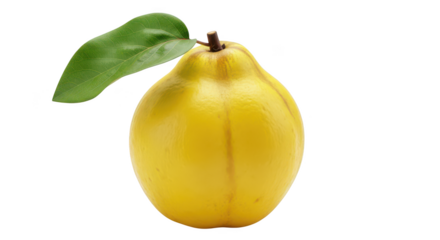 Single ripe yellow quince fruit with green leaf isolated on background image 2
