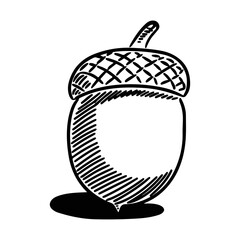 Acorn fruits black outline coloring vector for book page line art drawing