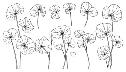 A collection of detailed line art botanical illustrations, showcasing various plant leaves with intricate outlines and delicate stems.