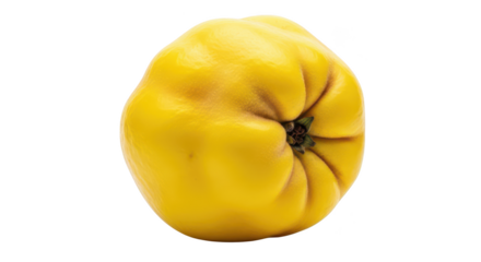 Single yellow quince fruit with textured skin on background food healthy